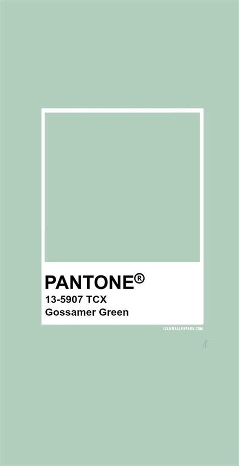 Pantone Gossamer Green Pantone 13 5907 Green Color Palette