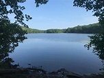 Cockaponset State Forest (South) - Connecticut Trail Finder