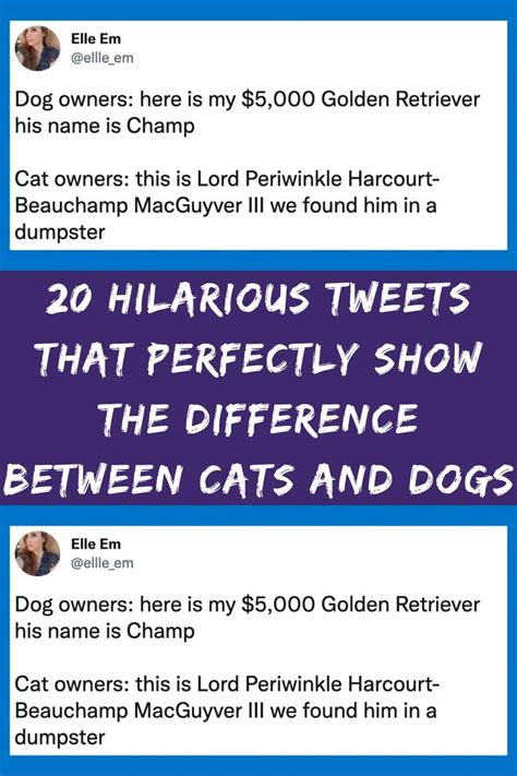 20 Hilarious Tweets That Perfectly Show The Difference Between Cats And