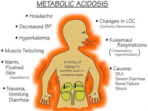 Azidose Ursachen Symptome Und Behandlungen Gesundes Essen In Meiner N He
