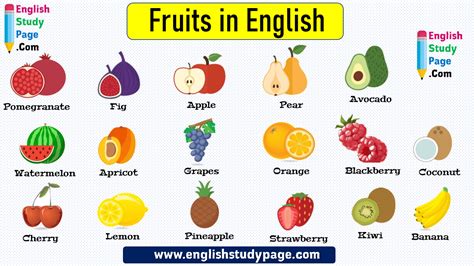 17 Fruits Names In English English Study Page