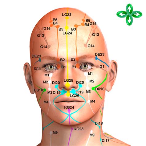 akupunkturpunkte akupunkturpunkte körperstellen der tcm therapie lexikon in der