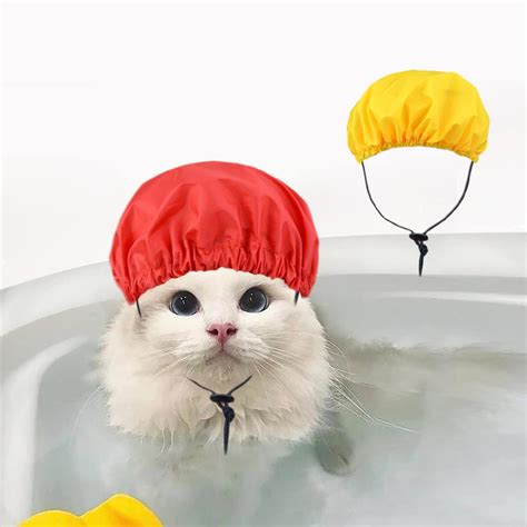 Amazon.com : Red Cat Shower Caps, Cap Pet Shower and Bath Supplies Pet