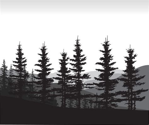 A Vector Silhouette Illustration Of A Line Of Pine Trees In A Forest