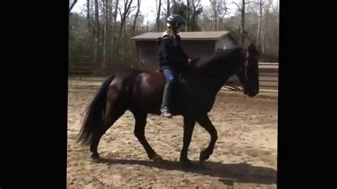 First Time Riding Bareback Youtube