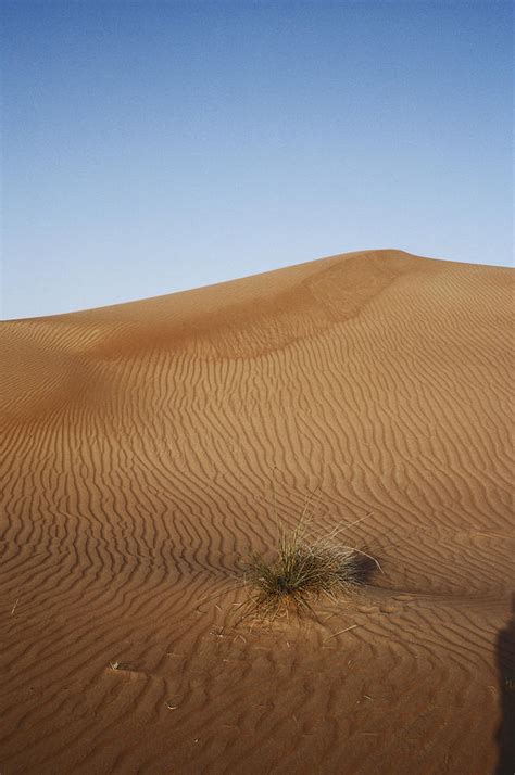 Desert United Arab Emirates Photograph By Ab Joyce Fine Art America