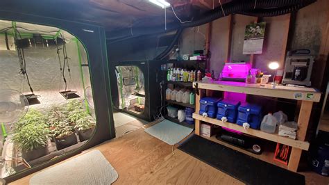Basement Grow Room How To Build The Best Cannabis Grow Room Growers