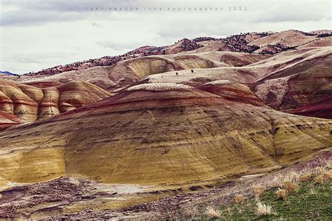 Unveiling The Wonders Of The Painted Hills Oregon