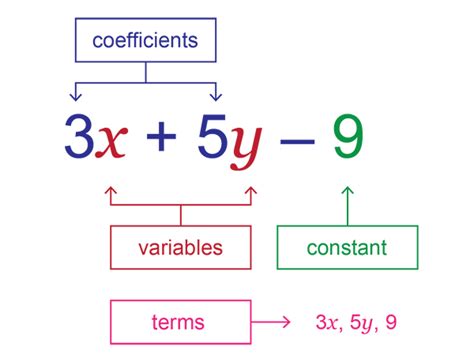 Algebraic Expression Aeefa Schools