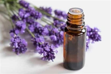 Essential Oils For Hives Perfect Recipes To Help Heal Your Skin Jane