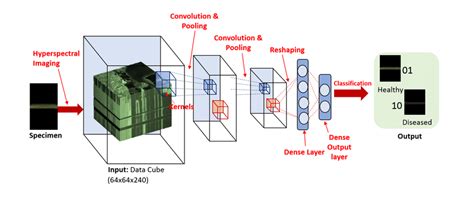 D Convolutional Neural Network Architecture For Classification