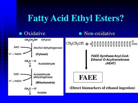 Ppt The Promise Of Fatty Acid Ethyl Esters And Hair Powerpoint