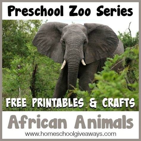 Preschool Zoo Series Free Printables And Crafts African