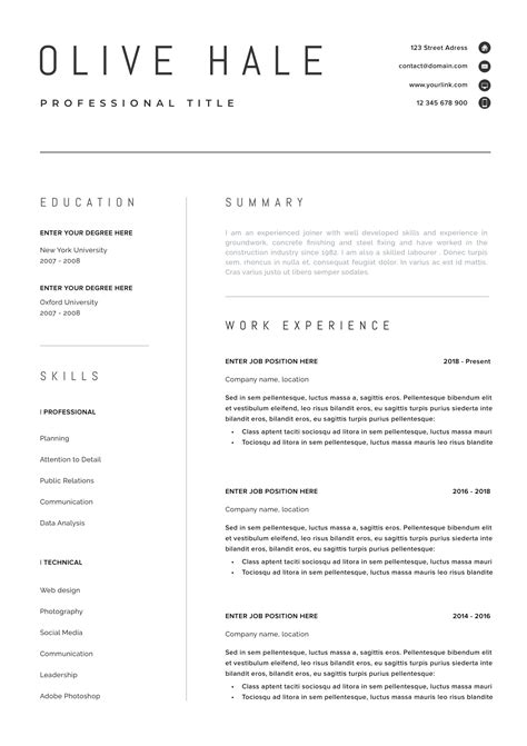 Cv Template Word Resume Design Template Resume Templates College