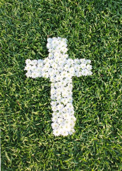 Cross Made From Daisy Flowers Stock Photo Image Of Closeup