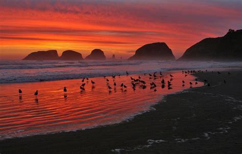 Cannon Beach Wallpapers Top Free Cannon Beach Backgrounds