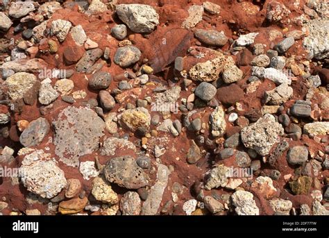 Puddingstone Is A Kind Of Conglomerate A Clastic Sedimentary Rock