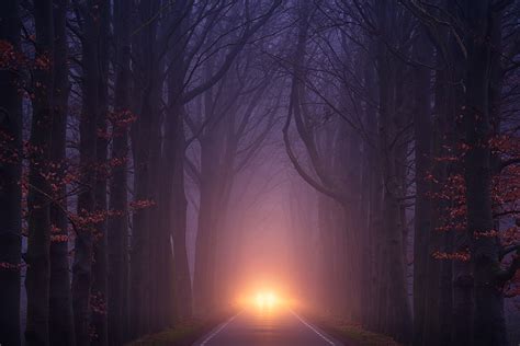 Car Light Road Autumn Trees Foggy Weather Hd Nature 4k Wallpapers