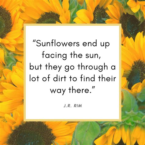 40 Sunflower Quotes To Inspire And Brighten Your Day Sunflower Quotes