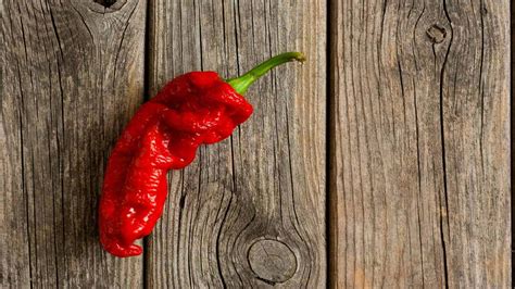 Download Spicy Yet Delicious Ghost Pepper Wallpaper Wallpapers Com