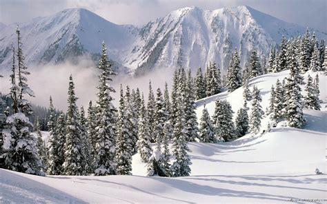 Beautiful Snow Scenes For Pinterest