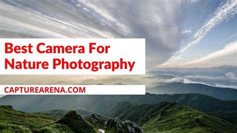 9 Best Camera For Nature Photography 2024 Reviewed