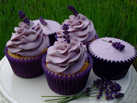 Colourful Cupcakes Of Newbury Lavender Cupcakes