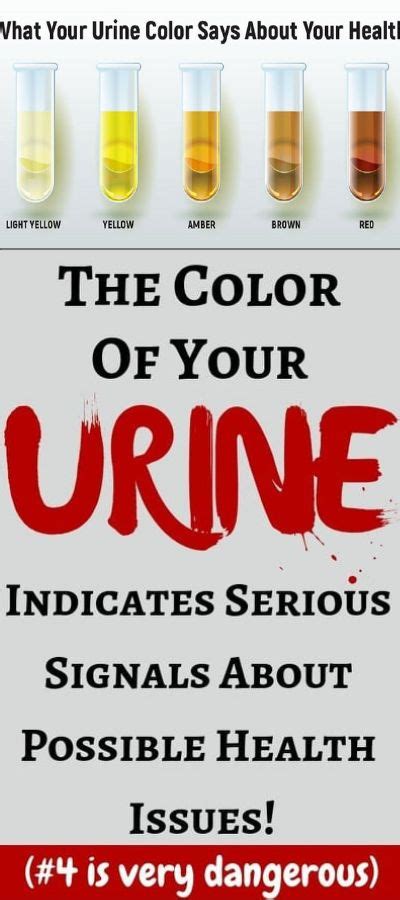 The Color Of Your Urine Indicates Serious Signals About Possible Health