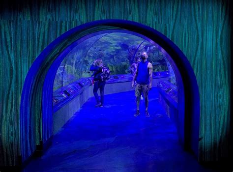 SeaWorld Orlando: Shark Encounter receives upgdates