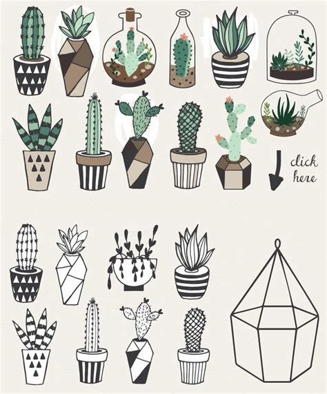 Pin By Carla Sarmiento On Kakteen Cactus Drawing Cool Drawings Drawings