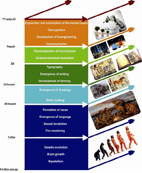 The Main Stages Of Formation And Human Development Download