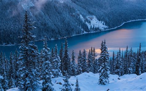 壁紙 バンフ国立公園、冬、木々、雪、ペイトー湖、カナダ 5120x2880 Uhd 5k 無料のデスクトップの背景 画像