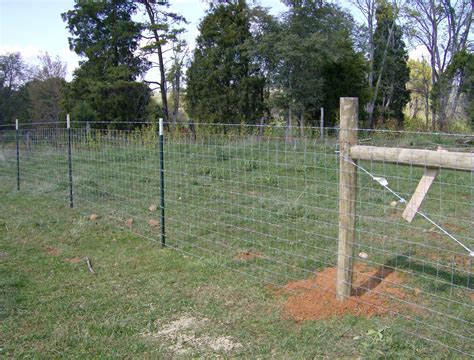 Larry Chattin And Sons Farm Fencing Goats Goat Fence Farm Fence