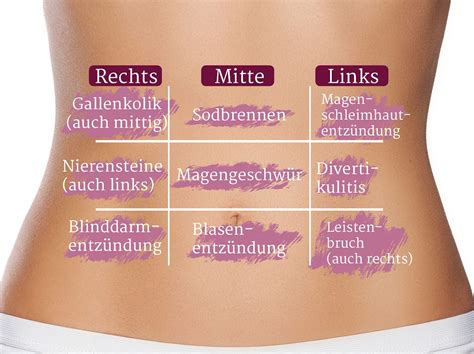 Gallensteine werden durch lebensmittel verursacht, die in besonderem maße die aktivität der gallenblase anregen. Der Atlas der Bauchschmerzen | Liebenswert Magazin