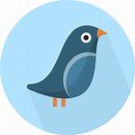 Bird Svg Animal Icon Icons Creative Tail