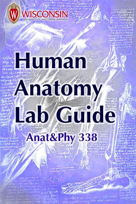 Human Anatomy Lab Manual Simple Book Publishing