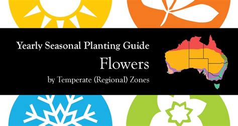 Yearly Seasonal Gardening Australia Flower Garden By Temperate