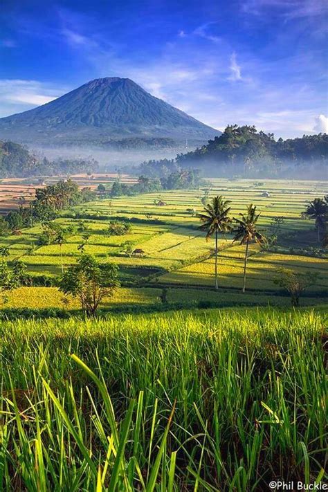 Pemandangan Alam Di Bali