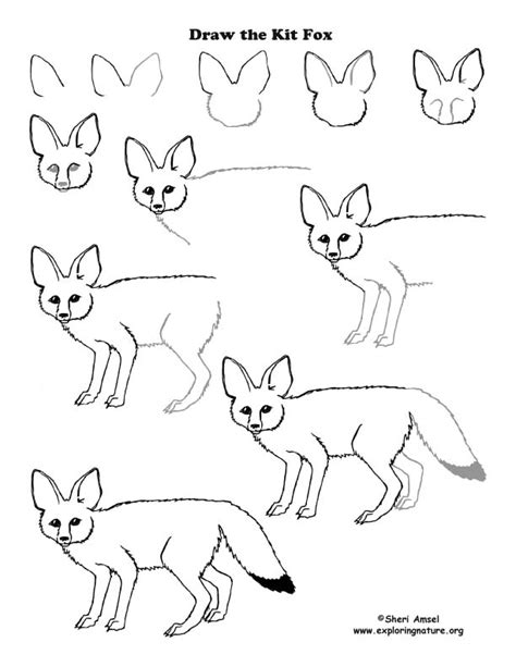 Fox Kit Drawing Lesson