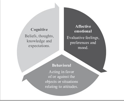 Attitude To The Cognitive Emotional And Behavioral Dimensions