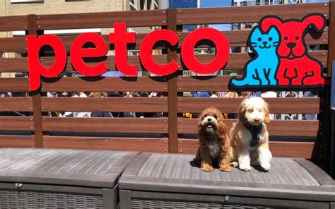 Initial public offering (ipo) or stock market launch is a type of public offering in which shares of a company are sold to institutional investors and usually also retail (individual) investors. Petco May Go Public Again in a $6B IPO | Private Equity ...