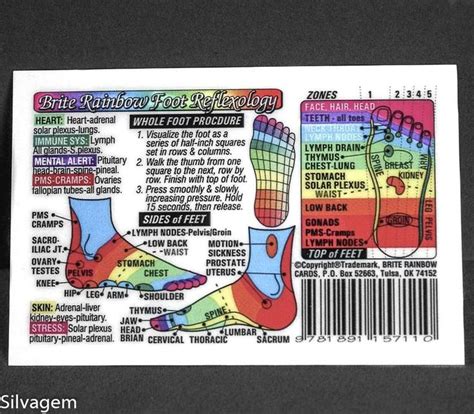 Coded Foot Reflexology Laminated Wallet Card Chart Guide Mint Etsy Hand Reflexology