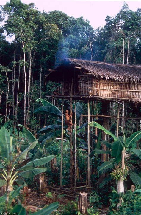 Meet The Lost Treehouse Tribe Of New Guinea Huttes Cases Maisons