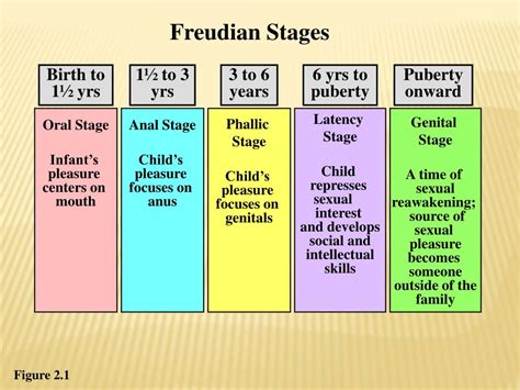 Fases Do Desenvolvimento Infantil Freud Sololearn