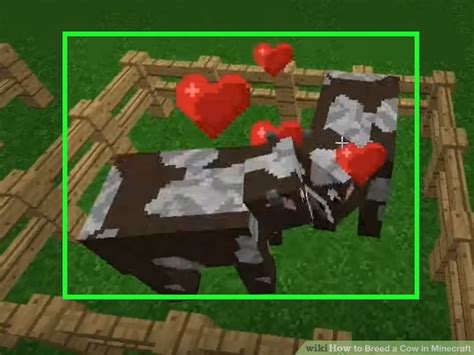 How To Breed A Cow In Minecraft 4 Steps With Pictures Wikihow