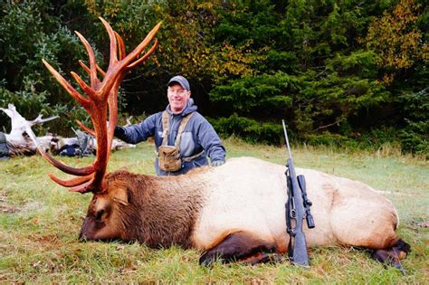 Roosevelt Elk Fraser River Outfitters Vancouver Island Bc Hunting Trips