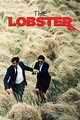 The Lobster (2015) - Posters — The Movie Database (TMDB)