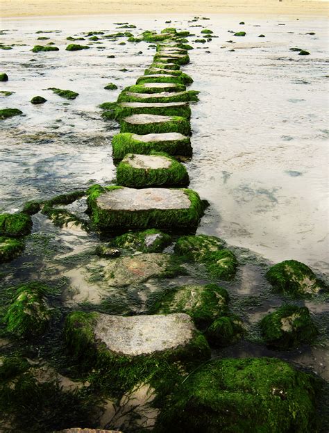 How To Turn Setbacks Into Stepping Stones