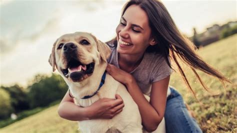 6 Señales Que Te Indican Que Tu Perro Es Feliz