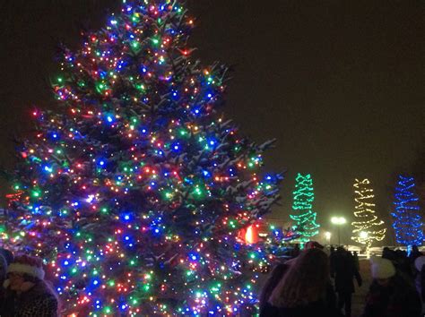 The Tree Is Lit Fishers Town Hall Displayed Beautiful Lights During